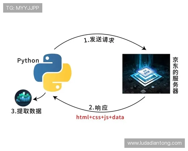 皇家注册登录入口使用过程中常见的障碍及其应对策略