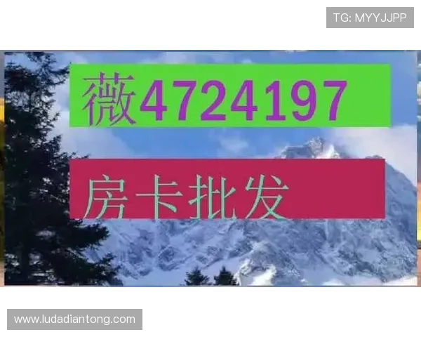 2026年最新炸金花娱乐下载攻略，最新版本上线，丰富玩法助你轻松获胜