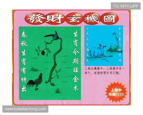 澳门彩app手机支持多种支付方式，保障用户资金安全与便捷充值体验